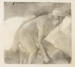 Edgar Degas - La Toilette (Le Bidet)