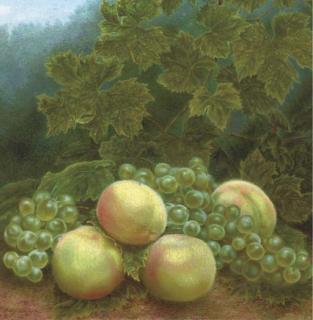 Edgar Fernhout - Vruchten - Fruits