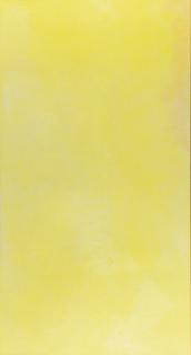 Edgar Hofschen - „Modifikation V 29 A“