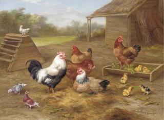 Edgar Hunt - A cockerel, chickens and doves outside a barn, with chicks playing with a pea pod