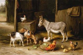 Edgar Hunt - A donkey, two goats, chickens and chicks