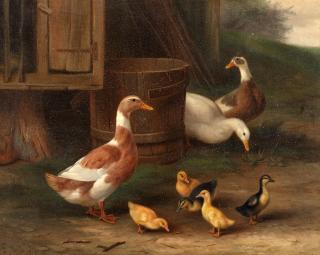 Edgar Hunt - A family of ducks