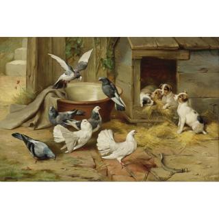Edgar Hunt - British Puppies And Pigeons