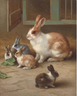 Edgar Hunt - Bunnies