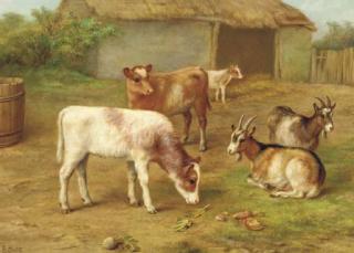 Edgar Hunt - Calves And Goats In A Barnyard; Also Calves, A Goat And Kids