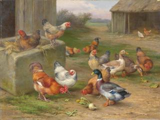 Edgar Hunt - Chickens, ducks and a mallard in a farmyard