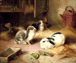 Edgar Hunt - Emily\'S Pets