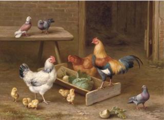 Edgar Hunt - Farmyard friends
