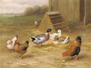 Edgar Hunt - Farmyard friends