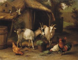 Edgar Hunt - Goats, Chickens and Doves in a Farmyard