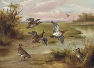 Edgar Hunt - Snipe by a stream