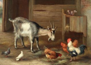 Edgar Hunt - Stable relations