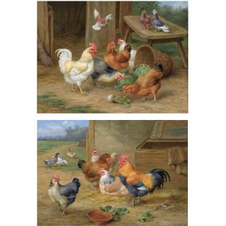 Edgar Hunt - The Pecking Order; King Of The Roost