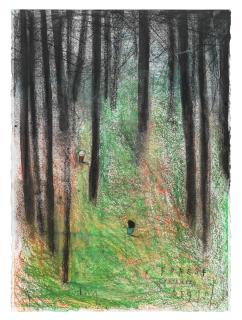 Edgar Plans - A Forest Encuentro (A Forest Encounter)