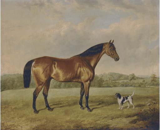 Edmund Bristow - A bay hunter with a terrier in an extensive landscape