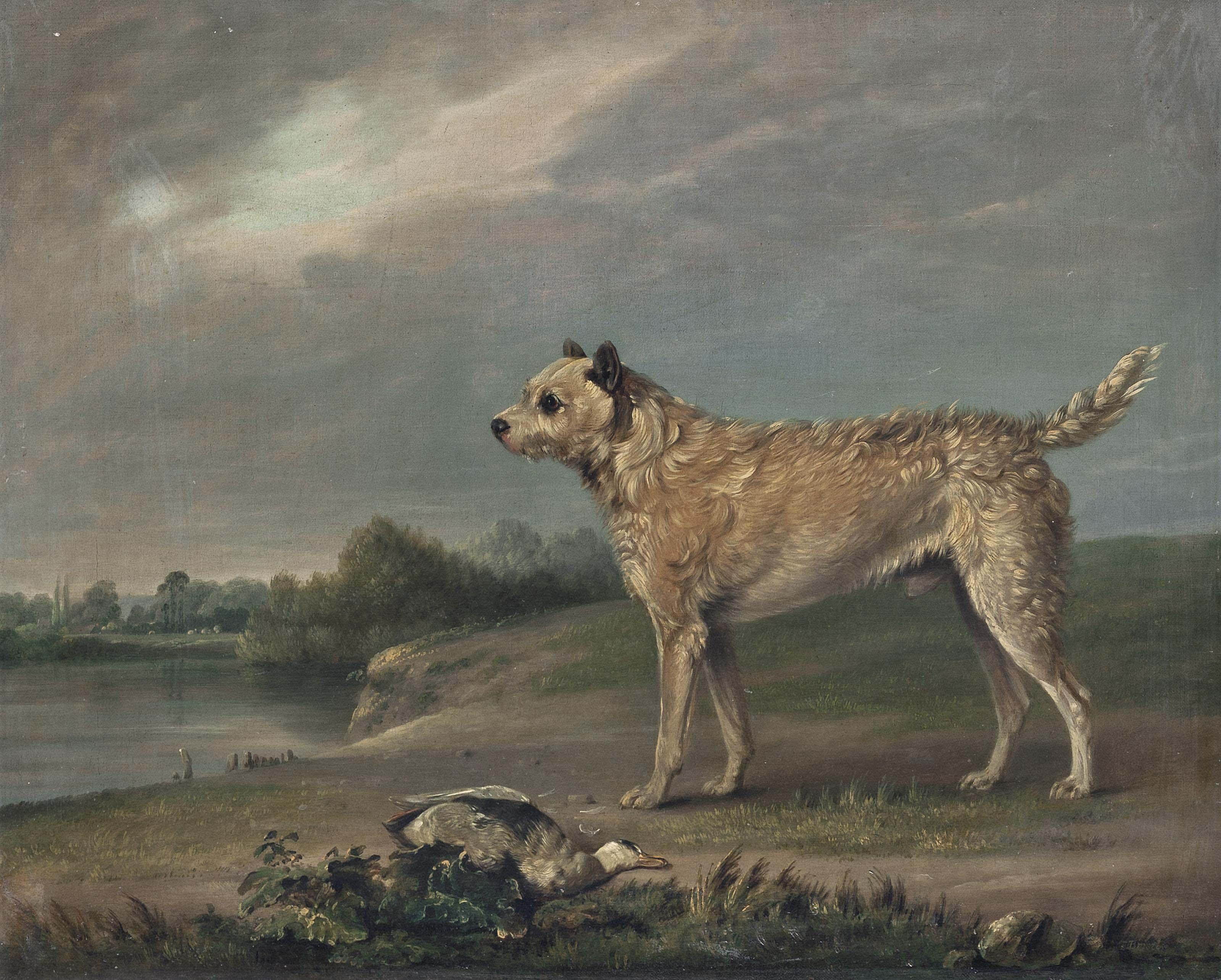 Edmund Bristow - A favourite terrier