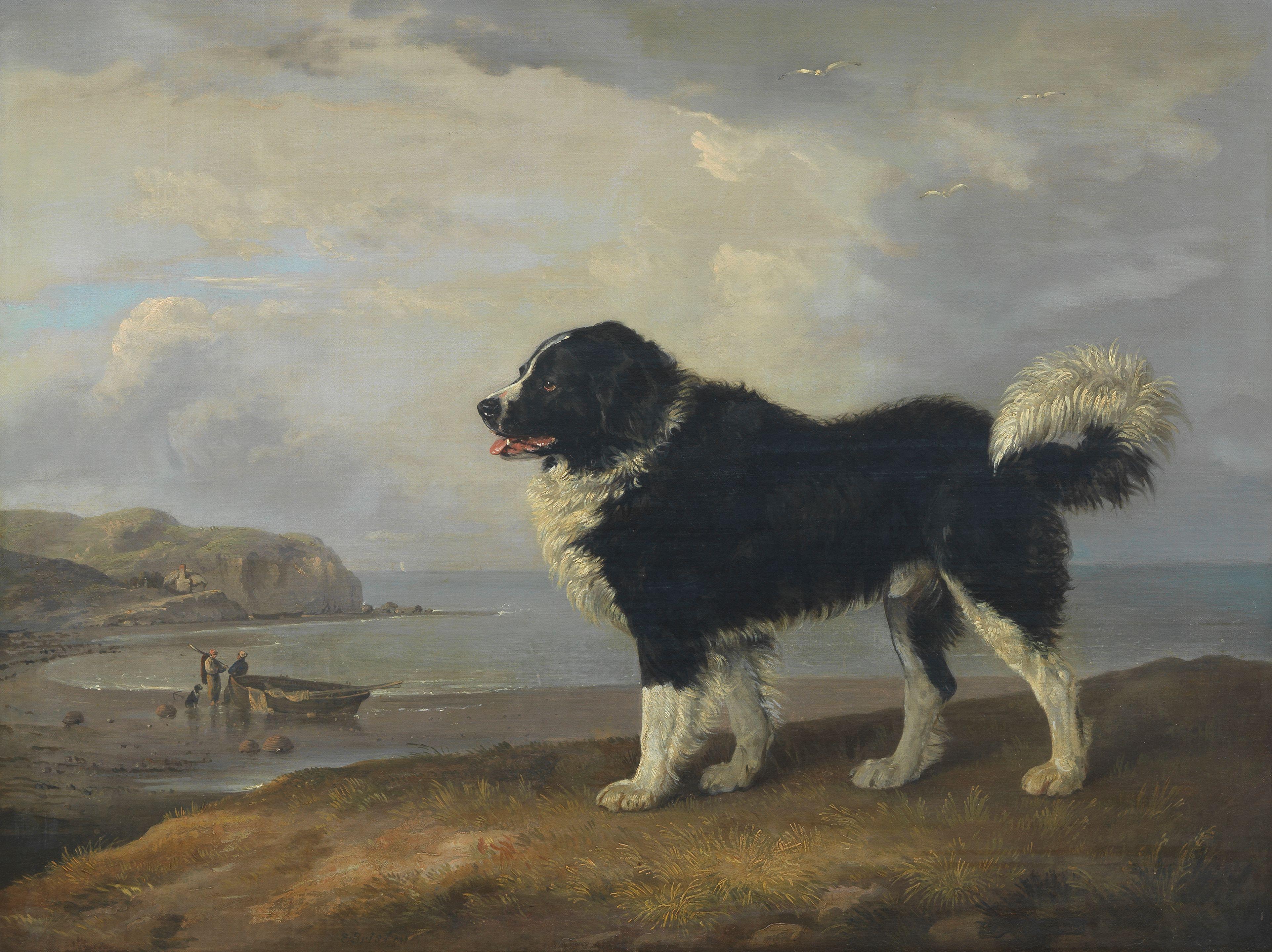 Edmund Bristow - A Newfoundland off the English coast