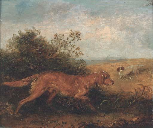 Edmund Bristow - Gundogs