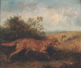 Edmund Bristow - Gundogs