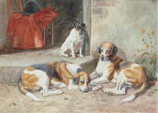 Edmund Caldwell - Sleeping Beauties