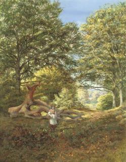 Edmund George Warren - A Woodland Glade