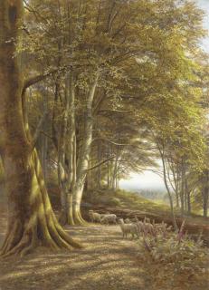 Edmund George Warren - Sheep grazing at the edge of a Beech Wood