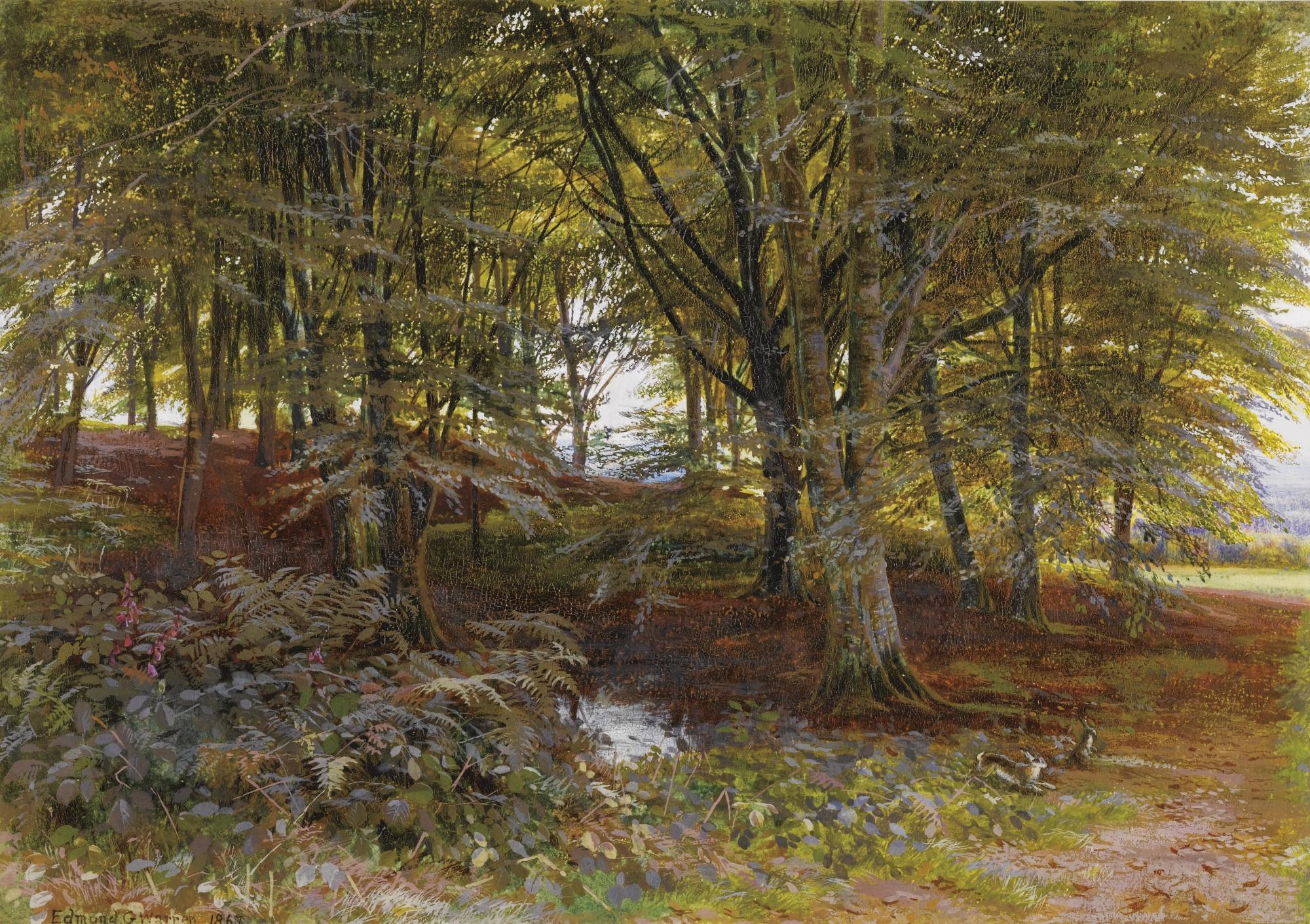 Edmund George Warren - Woodland