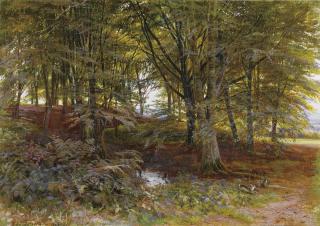 Edmund George Warren - Woodland