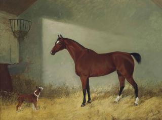 Edmund Havell, Jnr - A stable friendship