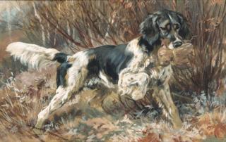 Edmund Henry Osthaus - A Setter Retrieving