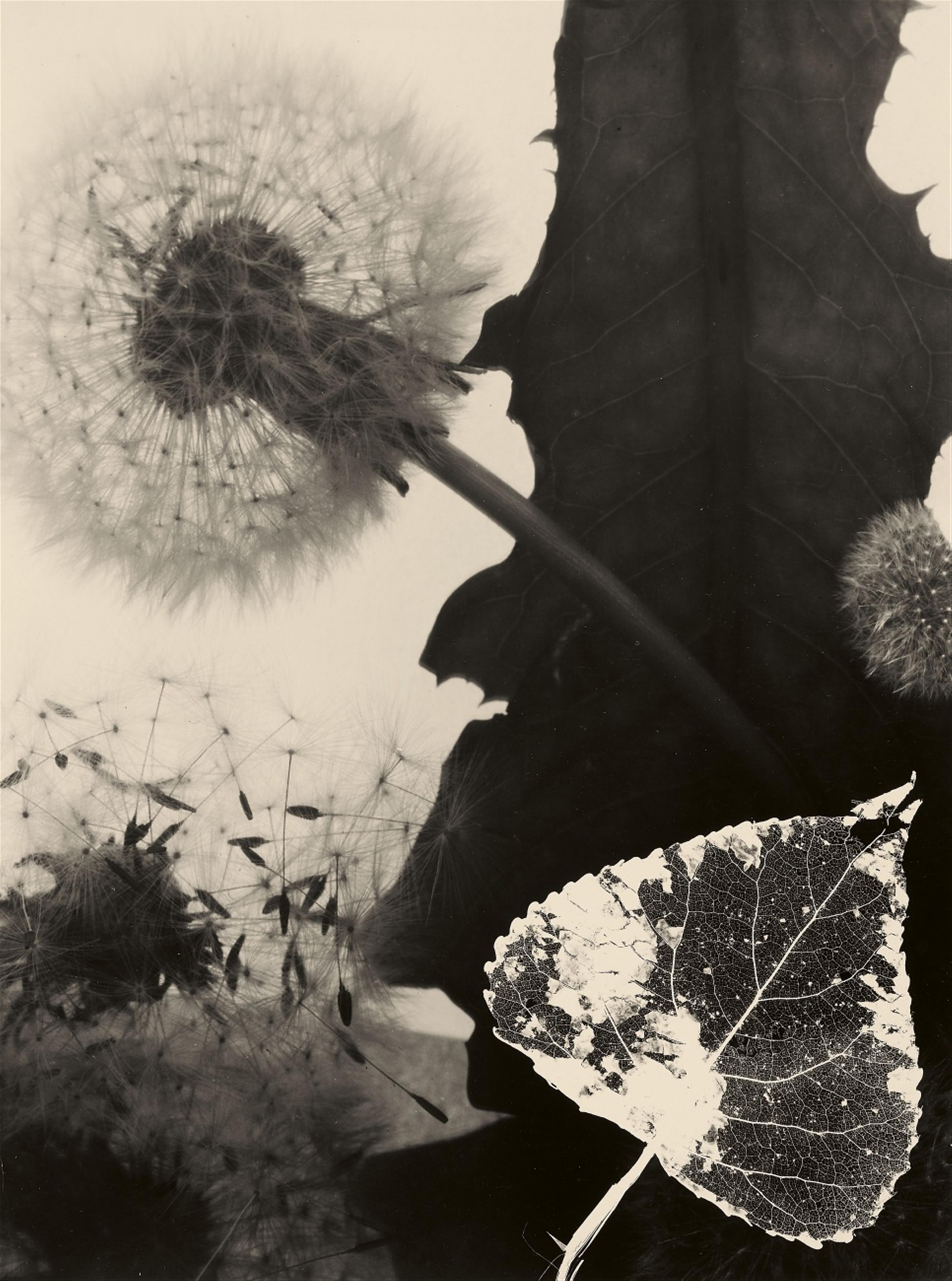 Edmund Kesting - Ohne Titel