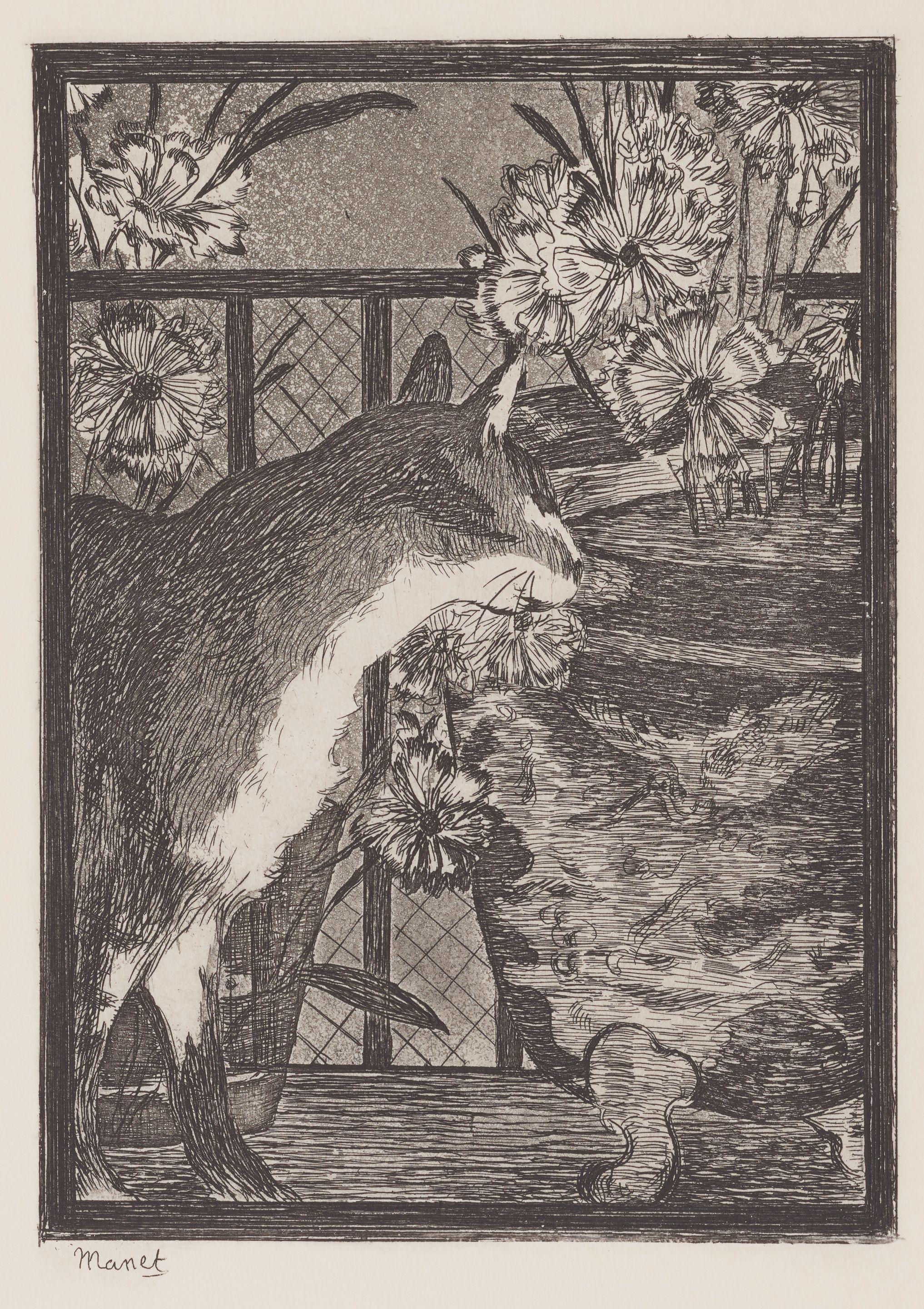 Edouard Manet - Le Chat et les Fleurs, from Notre ami le chat