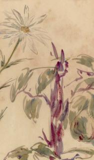 Edouard Manet - Marguerites