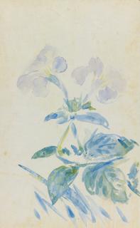 Édouard Manet - Pervenches