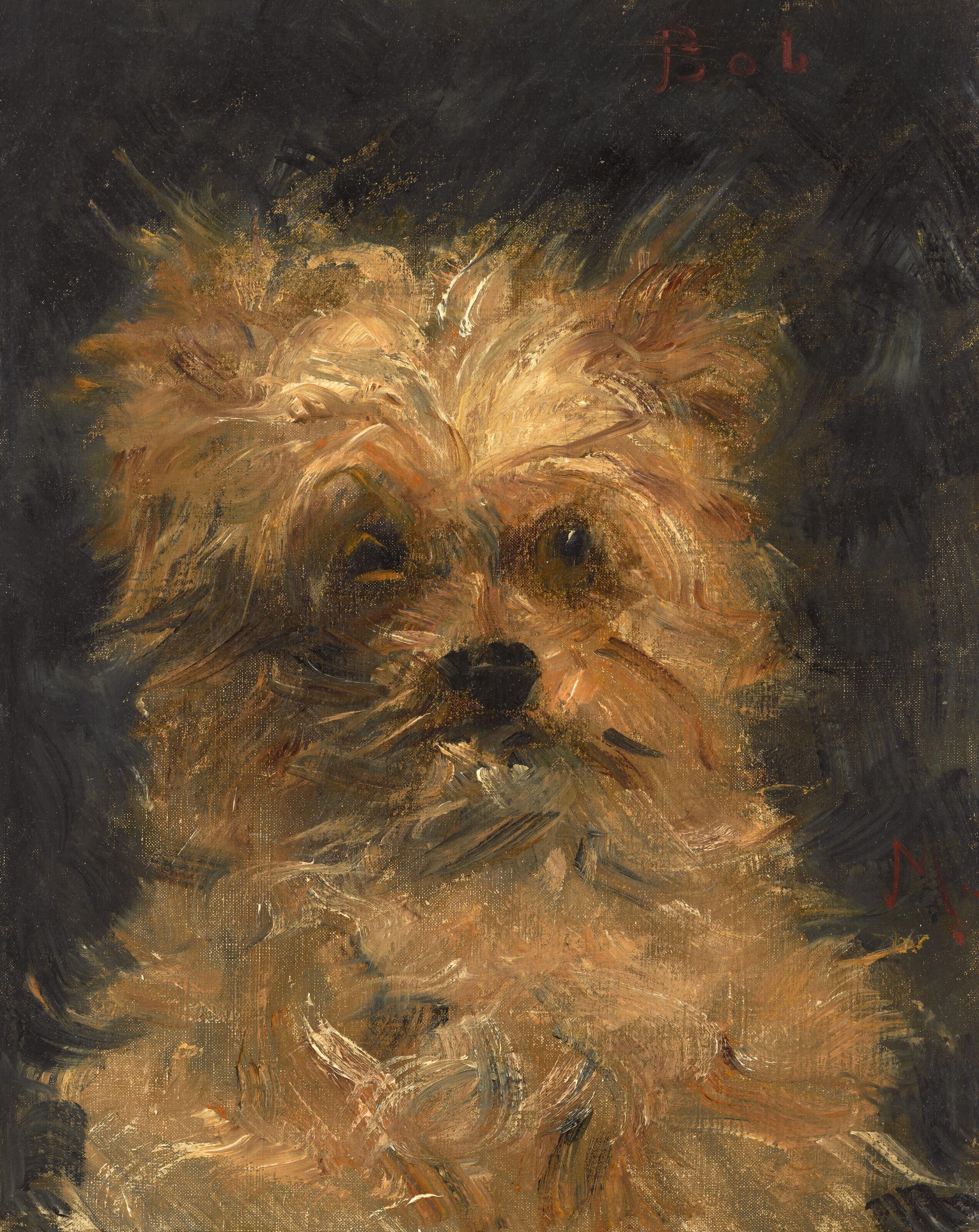 Edouard Manet - Tête Du Chien \