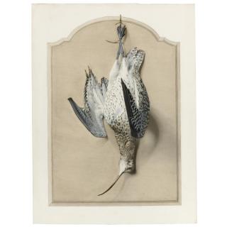 Edouard Traviès - Trompe L\'Oeil With A Curlew