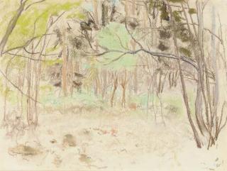 Edouard Vuillard - Sous-bois au printemps, au Château des Clayes