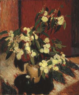 Edouard Vysekal - Eucalyptus Blossoms