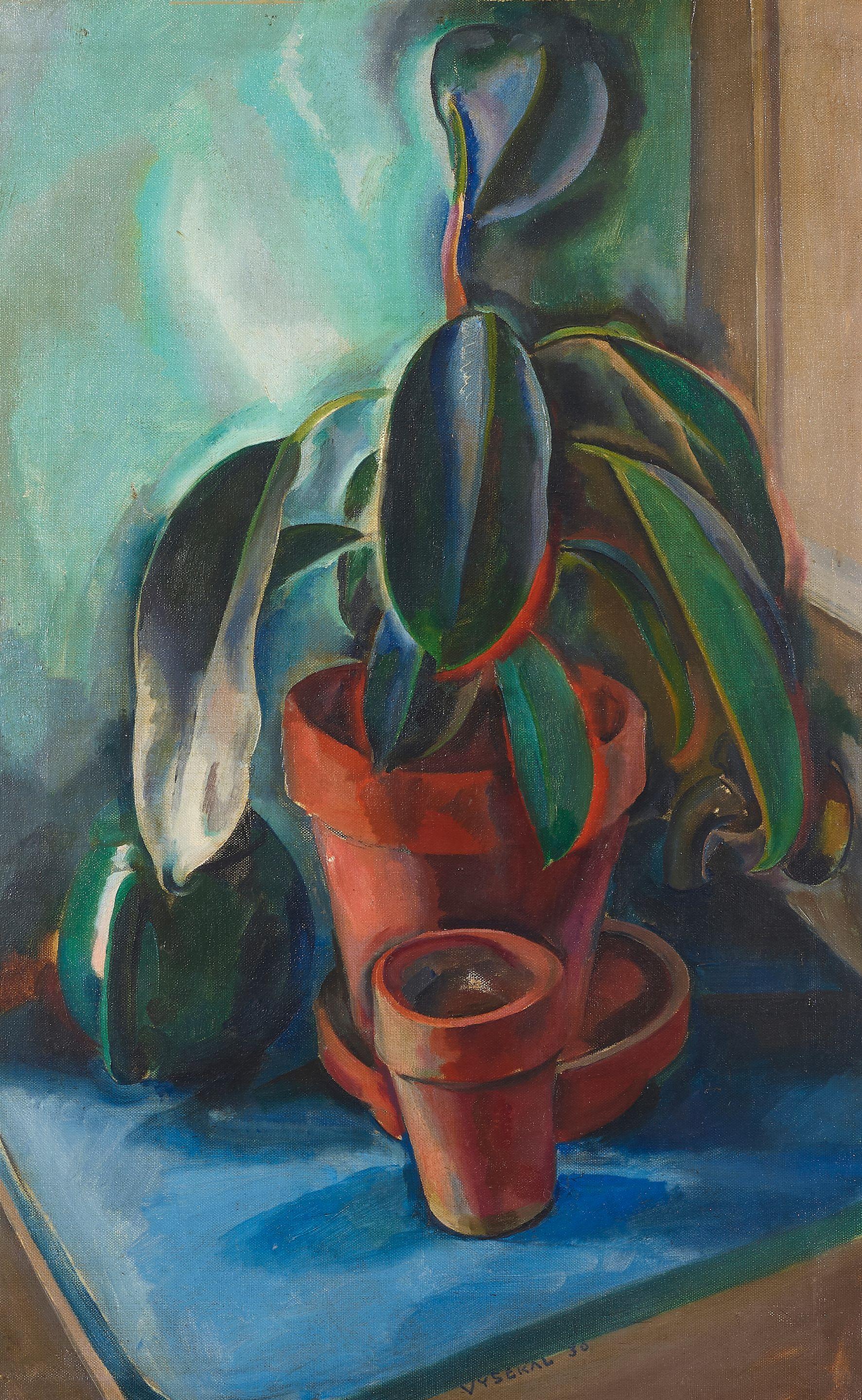 Edouard Vysekal - Rubber plant and pots