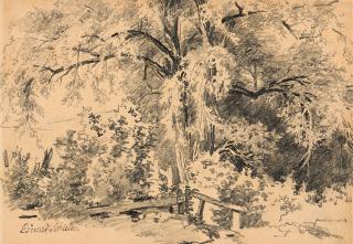 Eduard Schleich d. Ä. - Ein besonnter Baum am Wiesenrand.