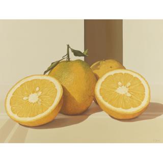 Eduardo Bortk - Oranges