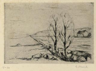 Edvard Munch - Norwegian Landscape (Schrefler 268)