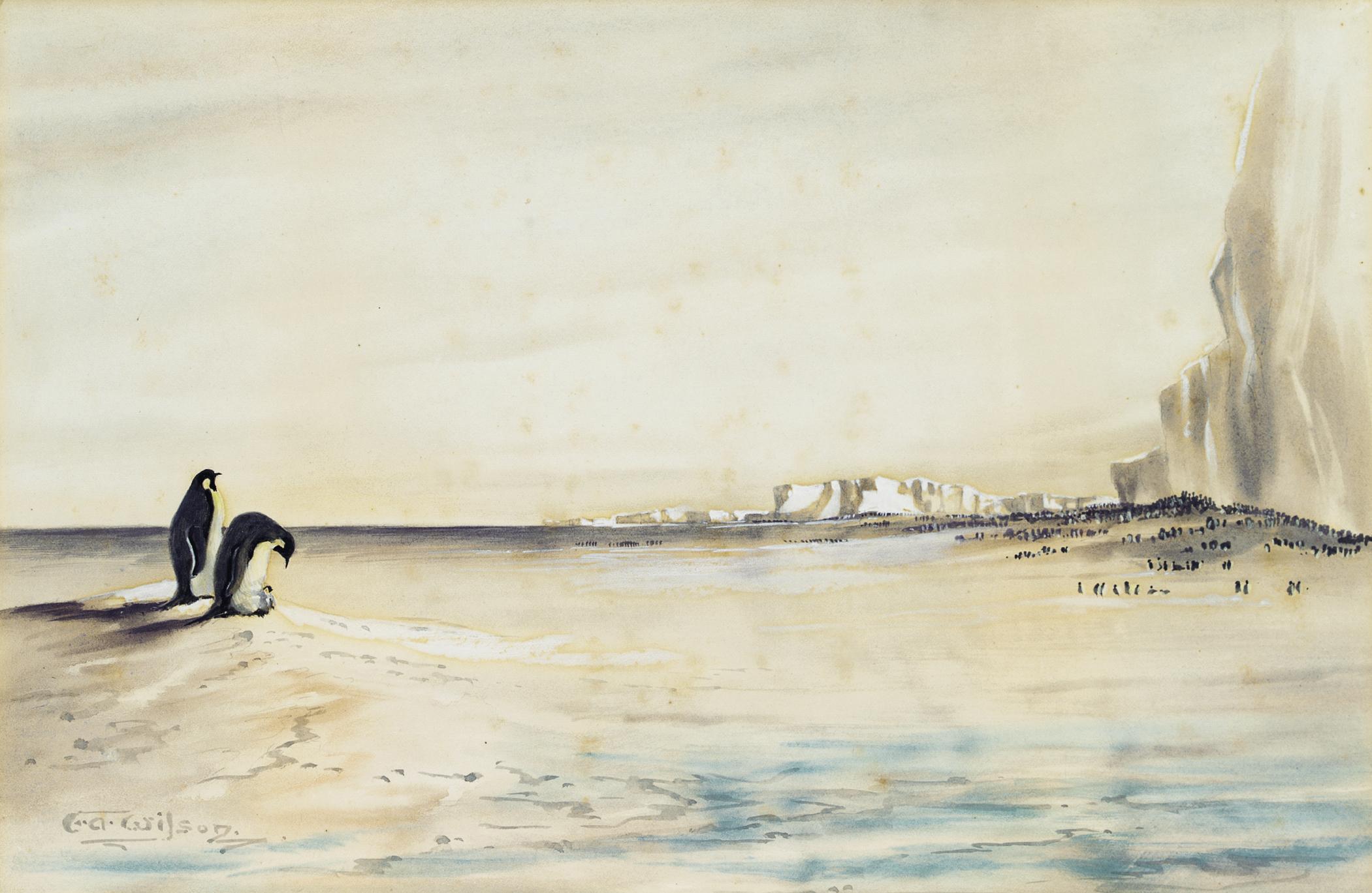 Edward Adrian Wilson - The Emperor Penguin Rookery, Cape Crozier