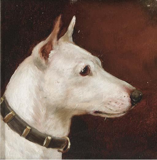 Edward Aistrop - A bull terrier