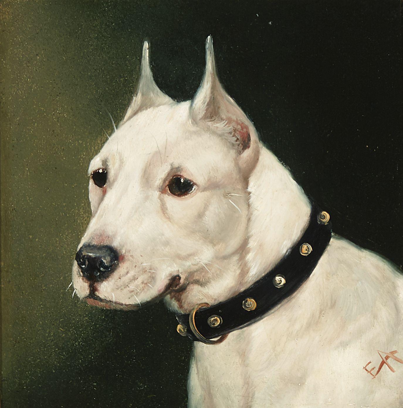 Edward Aistrop - A portrait of a Jack Russell terrier; A potrait of an English white terrier (a pair)