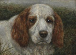 Edward Aistrop - Head study of the champion Clumber Spaniel \'Beechgrove Donally\'