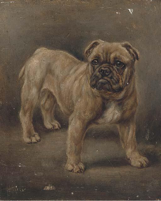 Edward Aistrop - Study of a boxer