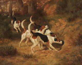 Edward Algernon Stuart Douglas - Gone To Ground