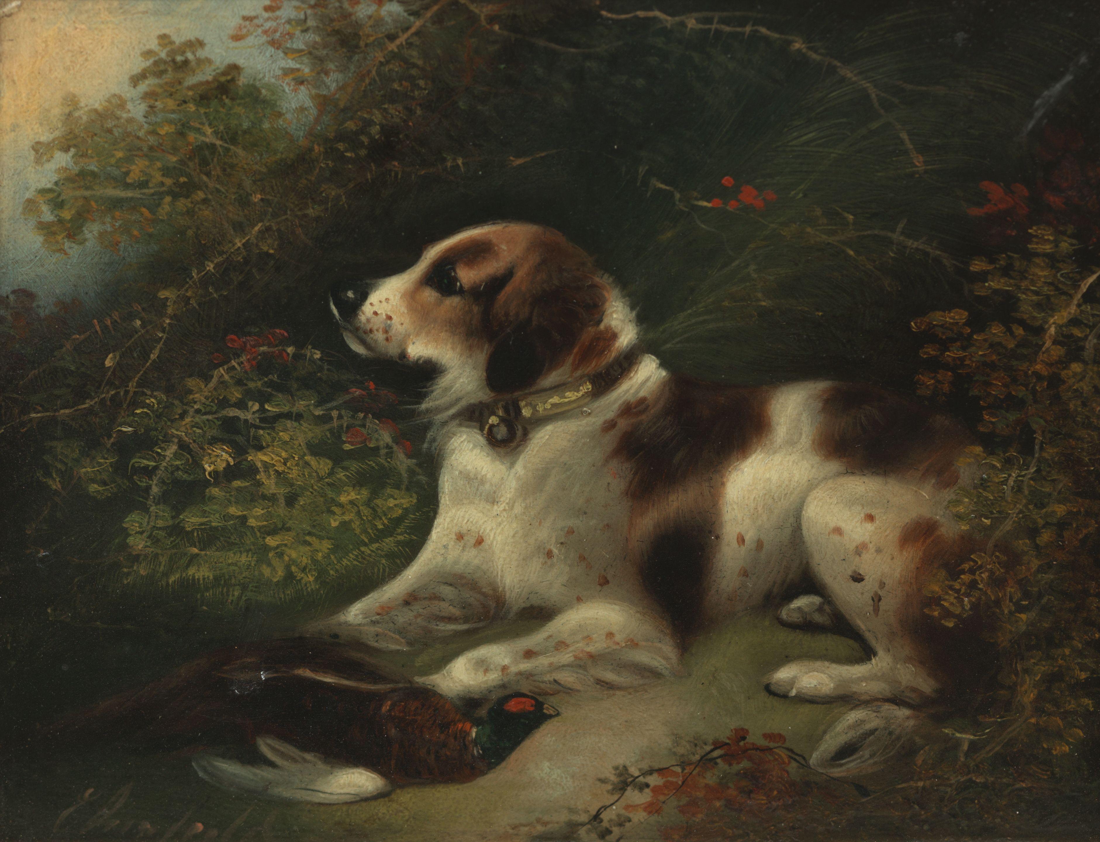 Edward Armfield - A dog with a pheasant