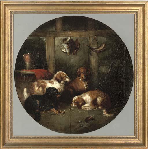 Edward Armfield - After The Shoot